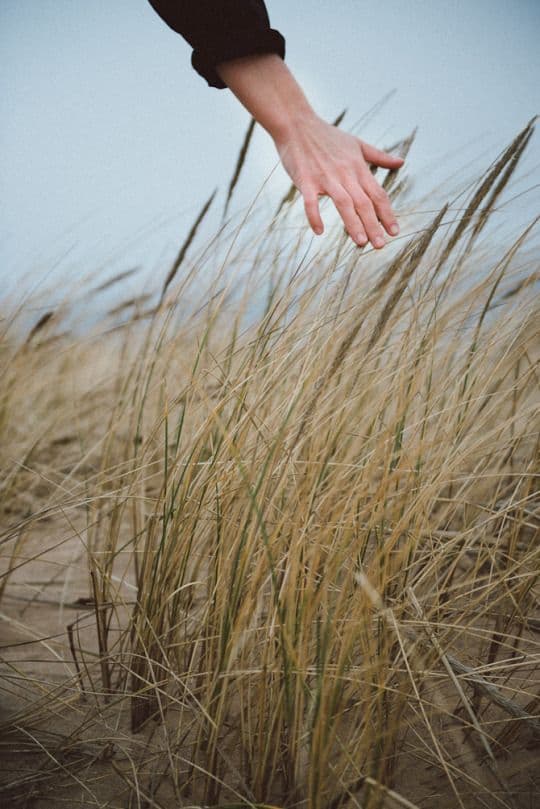 Une main effleure les herbes hautes d'une dune